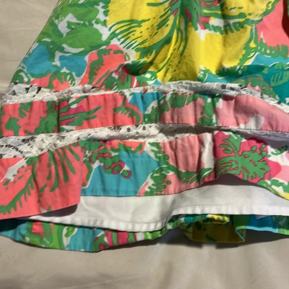 Colorful Lilly - Picture 4 of 6